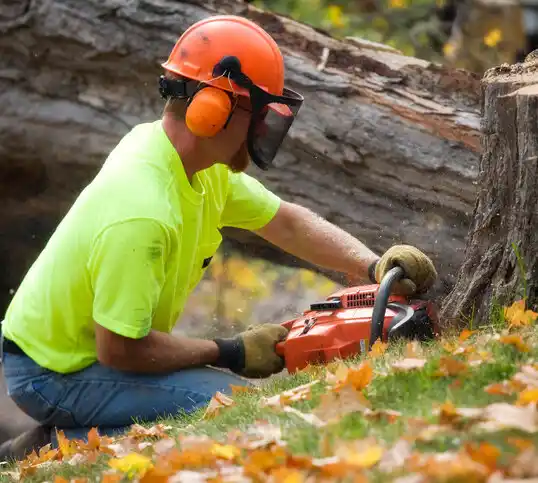 tree services Franklin Furnace